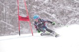 IMG_8504