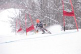 IMG_8513