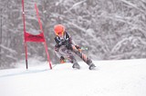 IMG_8515