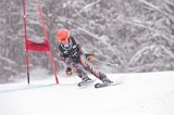 IMG_8516
