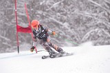 IMG_8517