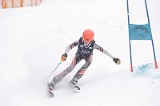 IMG_8519
