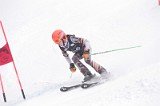 IMG_8520
