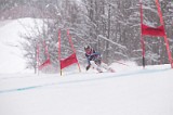 IMG_8525