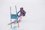 IMG_8530