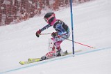 IMG_8537