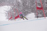 IMG_8539