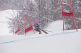 IMG_8540