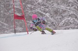 IMG_8541