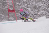 IMG_8542