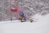 IMG_8544