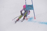 IMG_8548