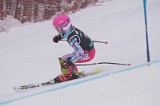 IMG_8553
