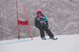 IMG_8557