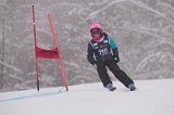 IMG_8558