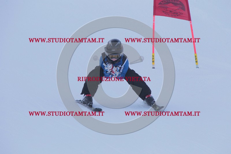 IMG_9177.JPG