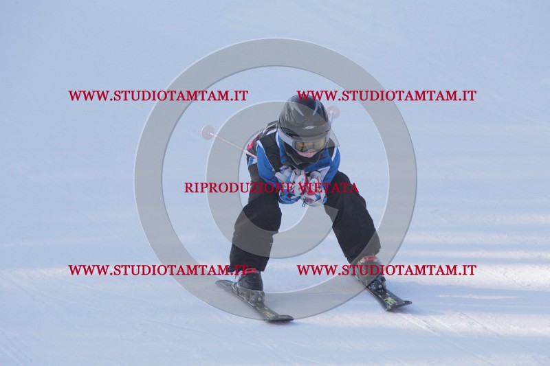 IMG_9178.JPG