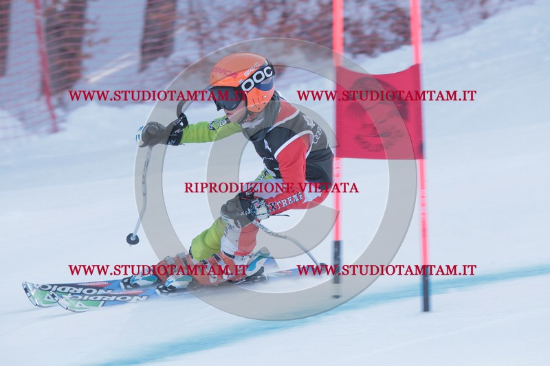 IMG_9277.JPG
