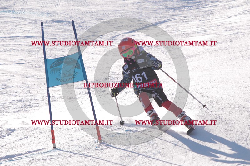 IMG_9284.JPG