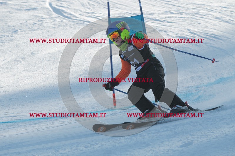 IMG_9659.JPG