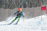 IMG_9817