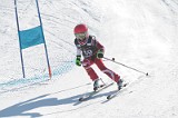IMG_0106