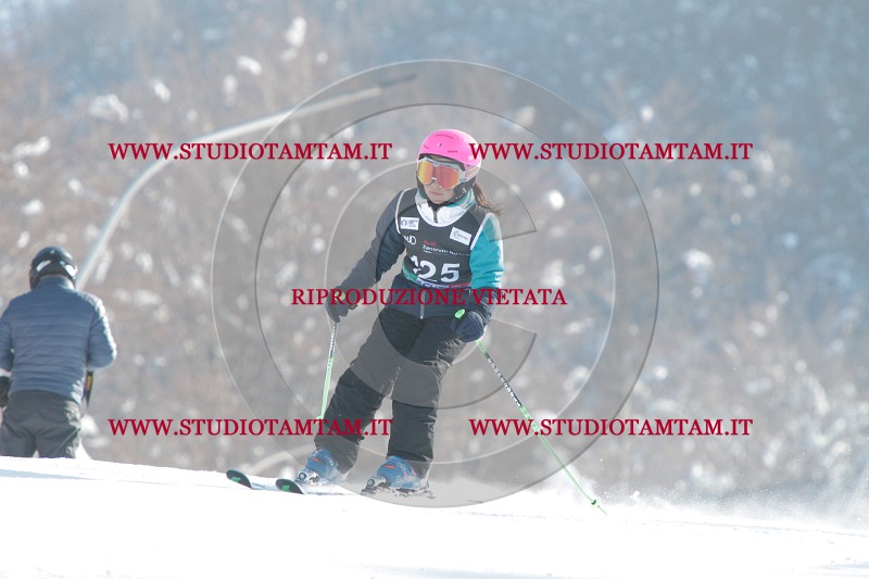 IMG_0803.JPG