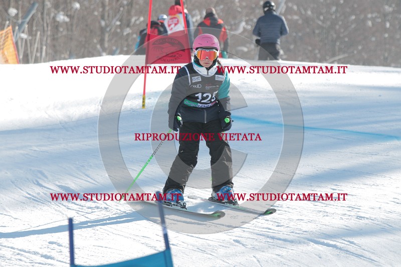 IMG_0806.JPG