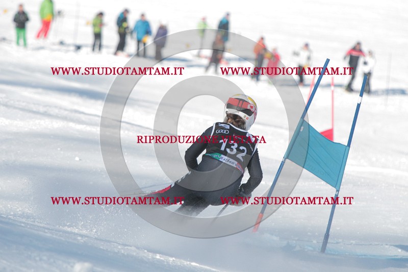 IMG_0909.JPG