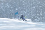 IMG_0524