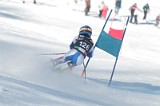 IMG_0826