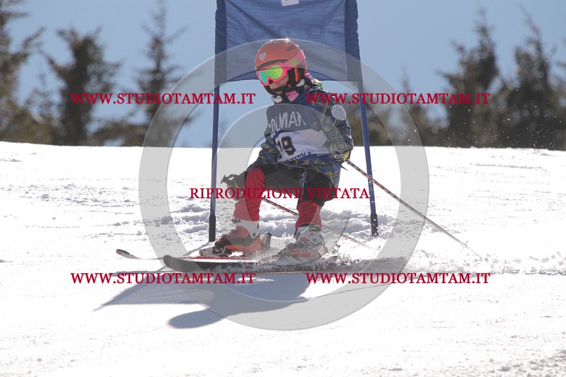 IMG_8279.JPG