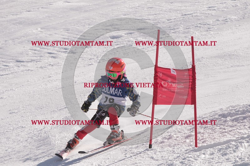 IMG_8281.JPG
