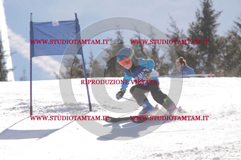 IMG_8341.JPG
