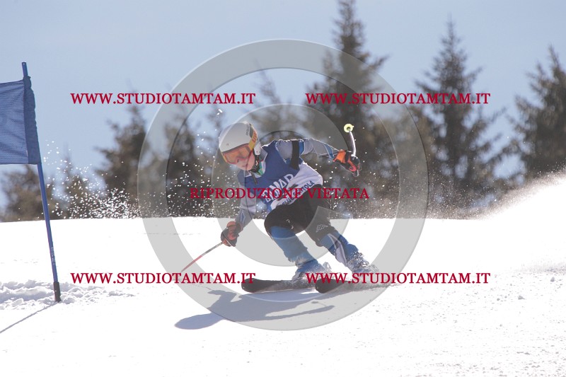 IMG_8370.JPG