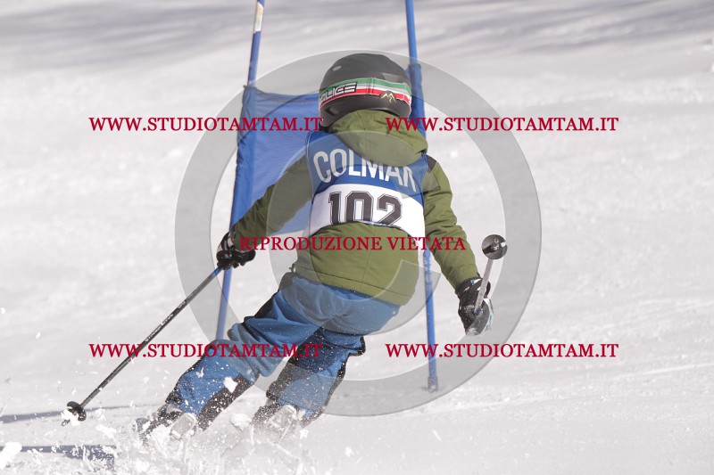 IMG_8389.JPG