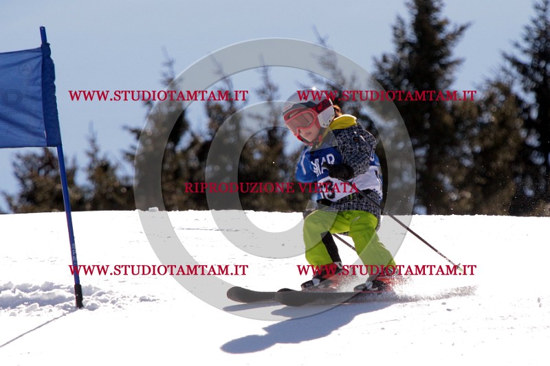 IMG_8391.jpg
