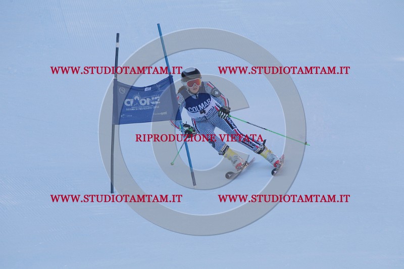 IMG_7574.JPG