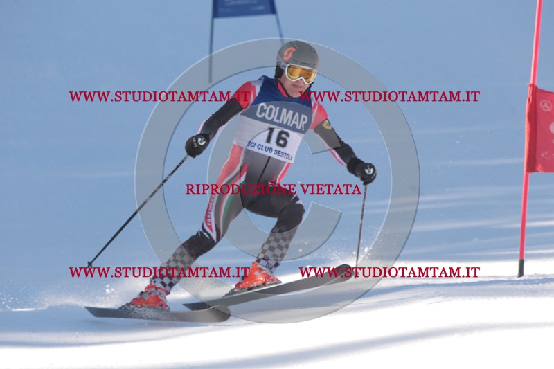 IMG_7686.JPG