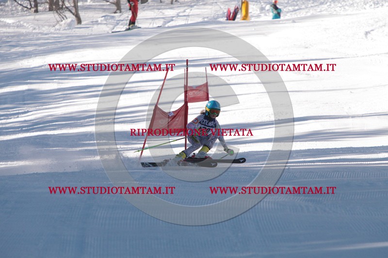 IMG_7784.JPG
