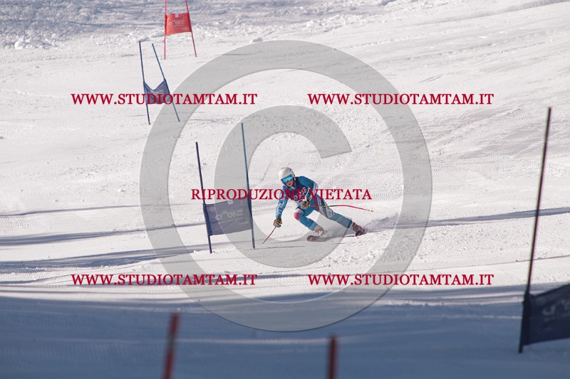 IMG_7822.JPG