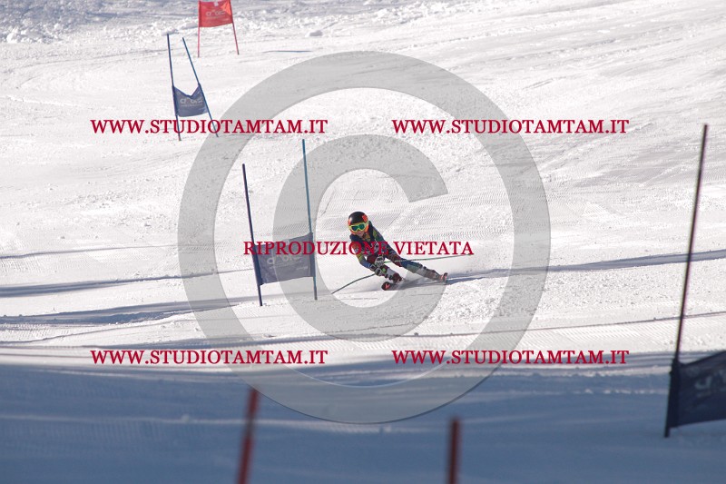 IMG_7872.JPG