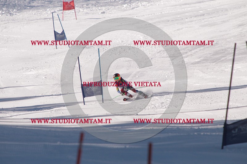 IMG_7873.JPG