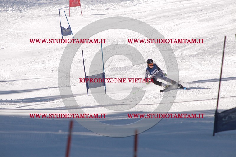 IMG_7913.JPG