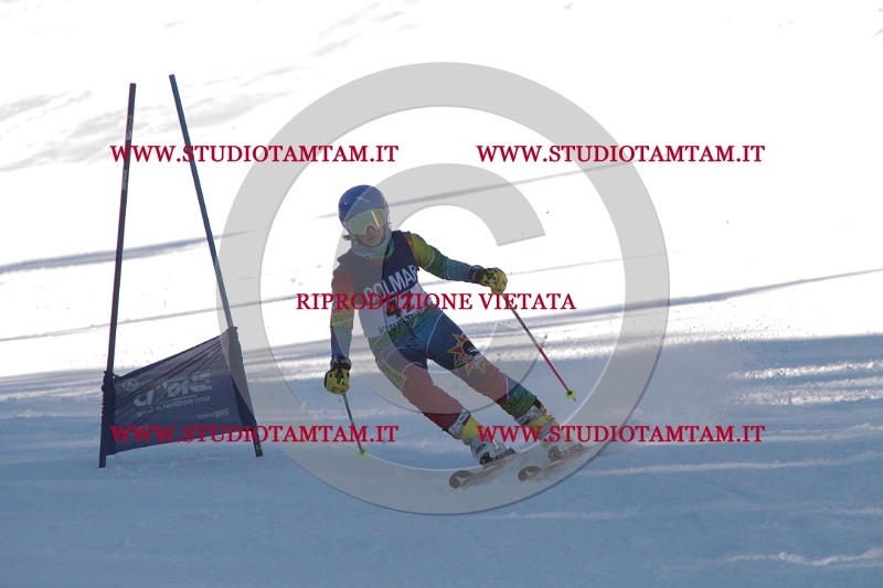 IMG_7936.JPG