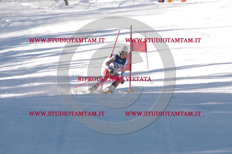IMG_7981.JPG