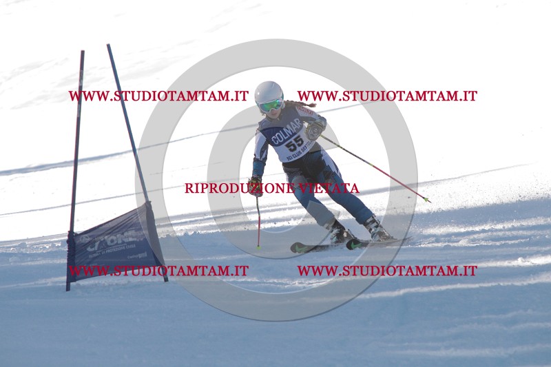 IMG_8018.JPG