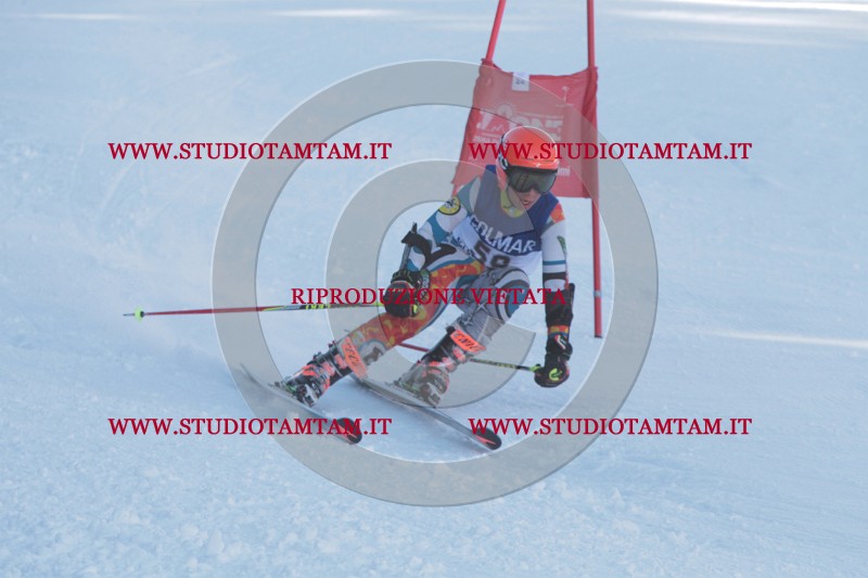 IMG_8062.JPG