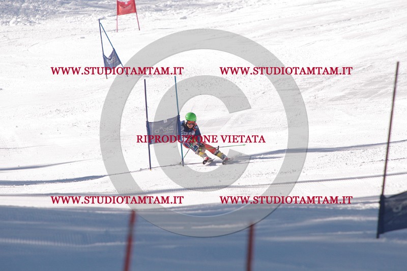 IMG_8065.JPG