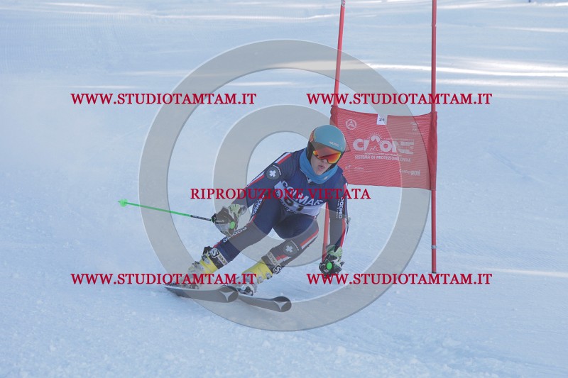 IMG_8085.JPG